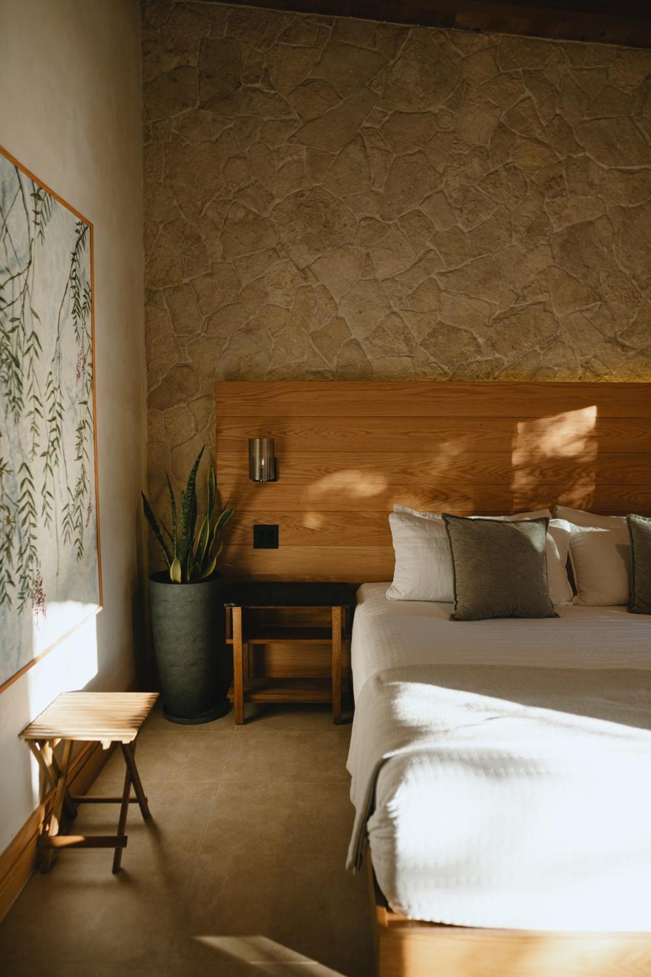 Casa Olivea - Mya Hotel Valle de Guadalupe Exterior photo