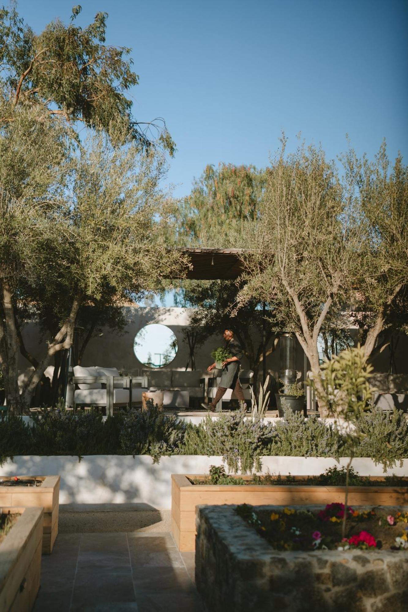 Casa Olivea - Mya Hotel Valle de Guadalupe Exterior photo